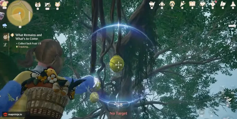 Nikki aiming her bow at a yellow Sack Fruit hanging from a vine in a tree.