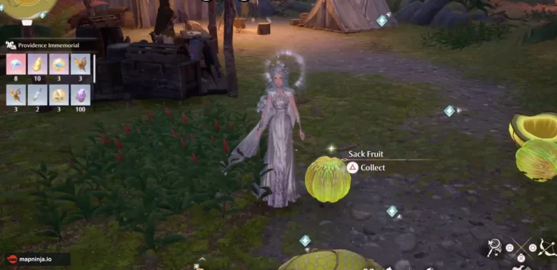 Nikki standing beside a fallen Sack Fruit with the Collect prompt visible.